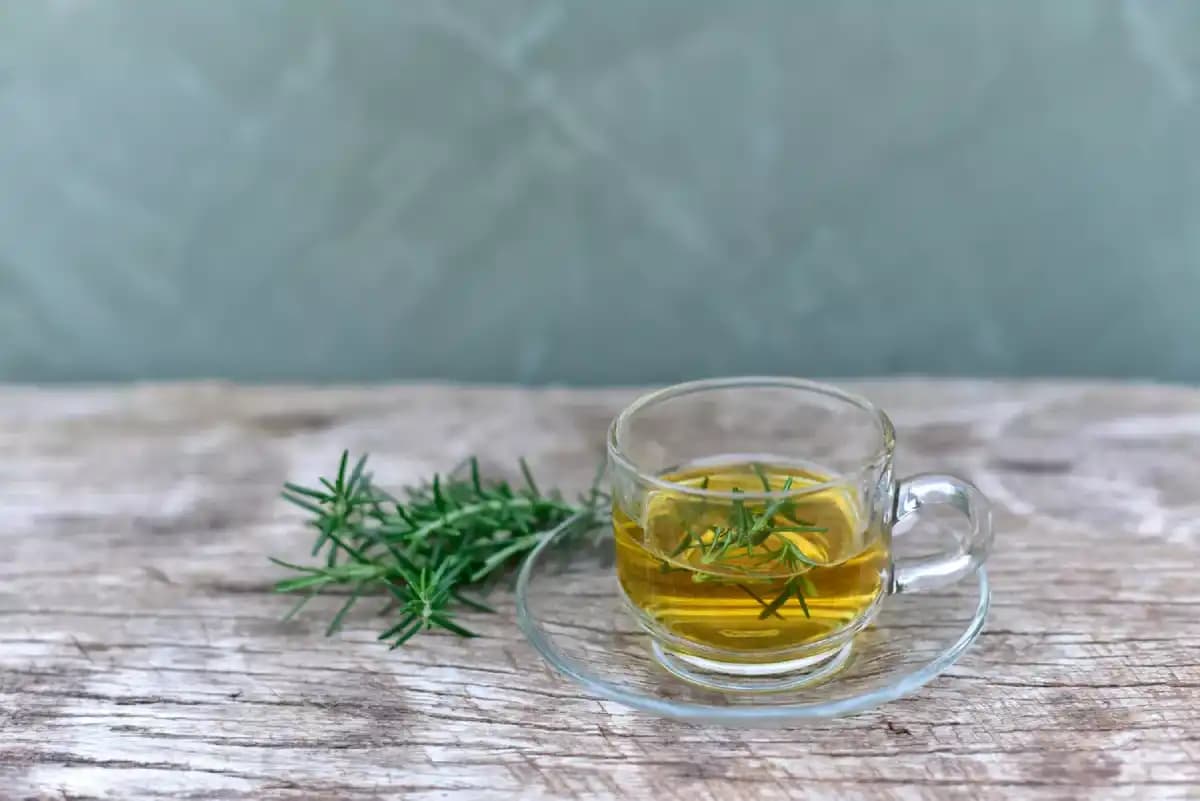Health: Relieve Hemorrhoids with Rosemary Tea