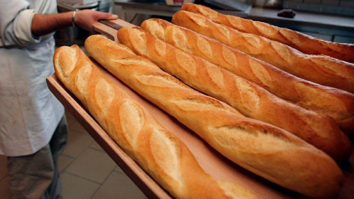 Benin: a baker sentenced to 6 months in prison for selling unfit bread and insult