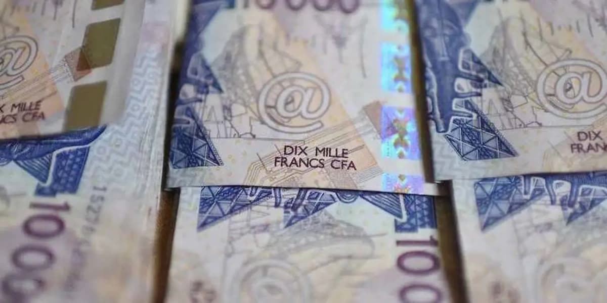 Bohicon: police thwart the dumping of more than 25 million counterfeit banknotes into the economy.