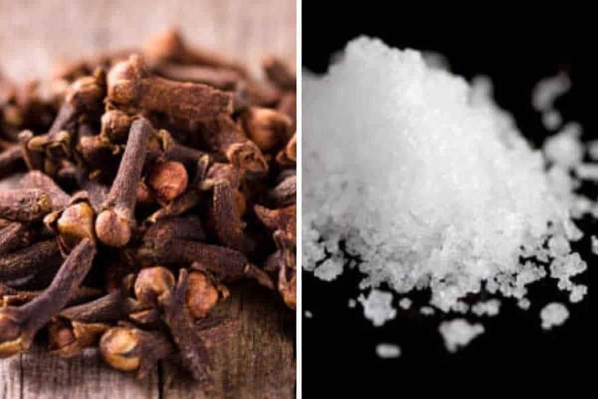 Clou de girofle et du sel marin blanc