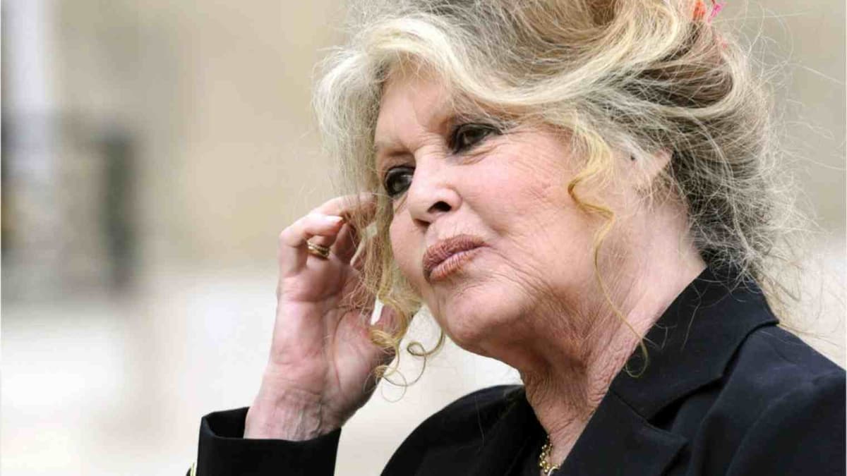 Gouvernement d’Elisabeth Borne : Brigitte Bardot en colère, elle dénonce une erreur de casting