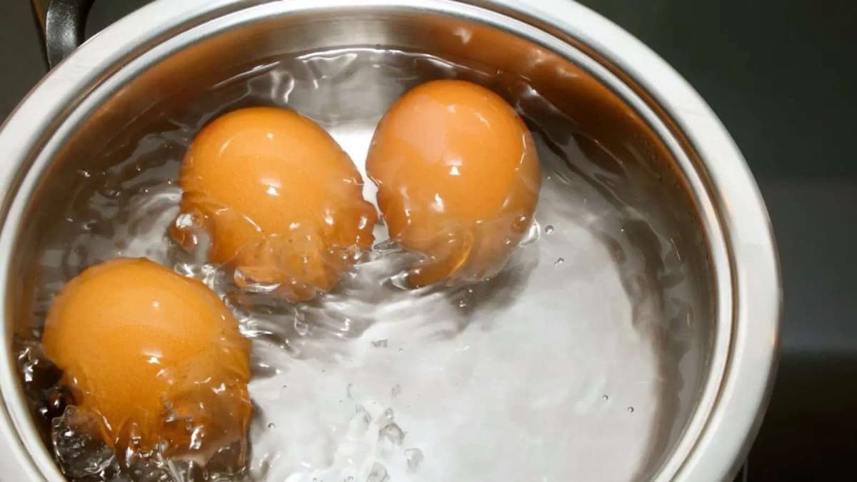 des oeufs dans l'eau dans une casserole