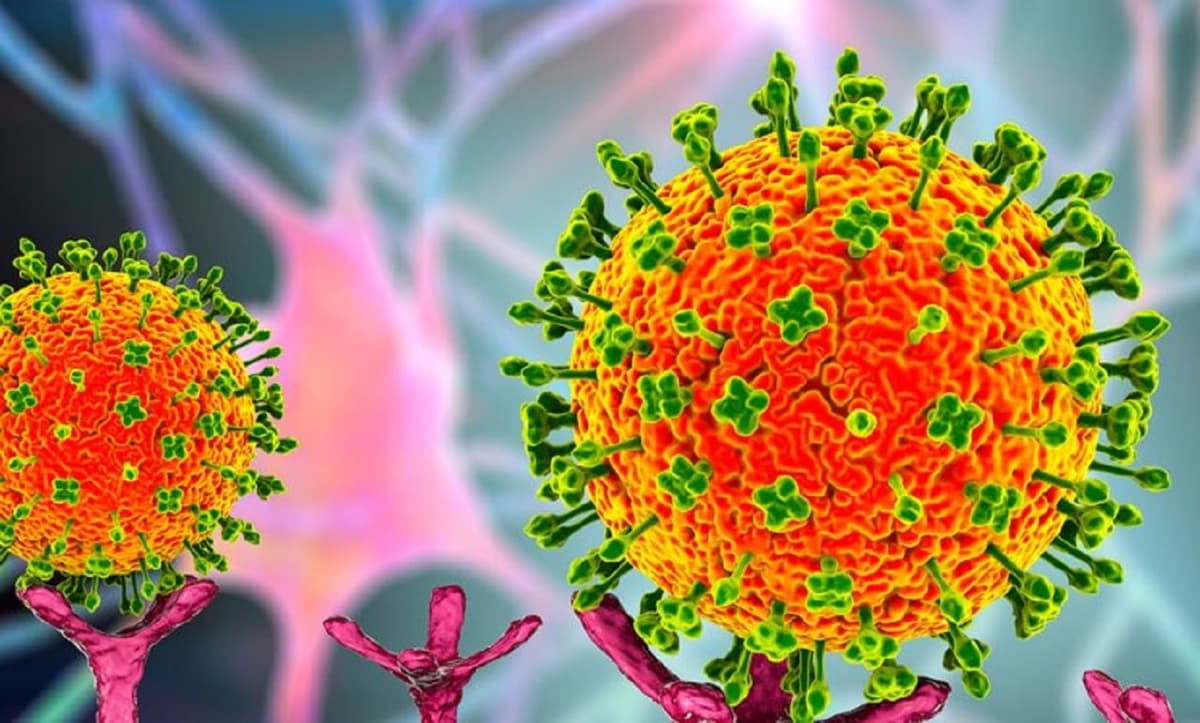 La Chine découvre un nouveau virus Langya potentiellement mortel, 35 déjÃ  infectés