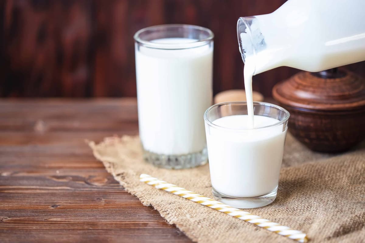du lait dans des verres et dans une bouteille