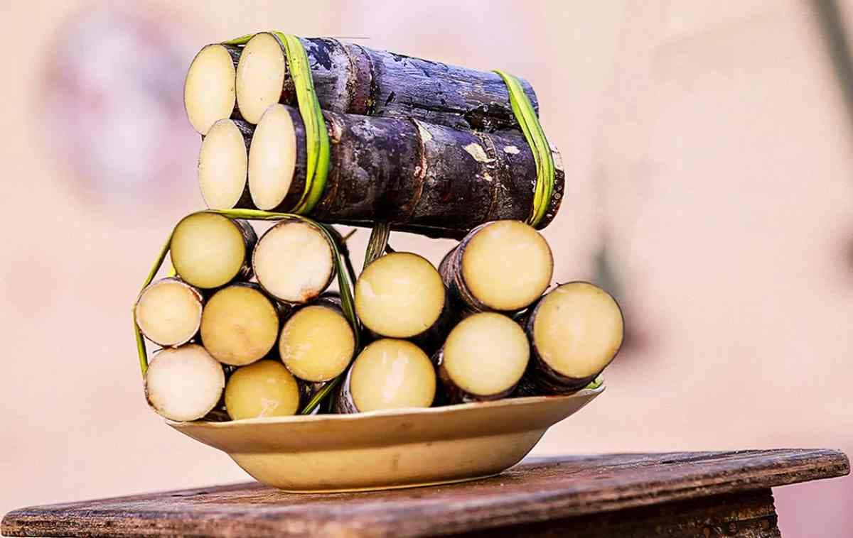 trois tas de cannes Ã  sucre sur un tabouret dans une assiette