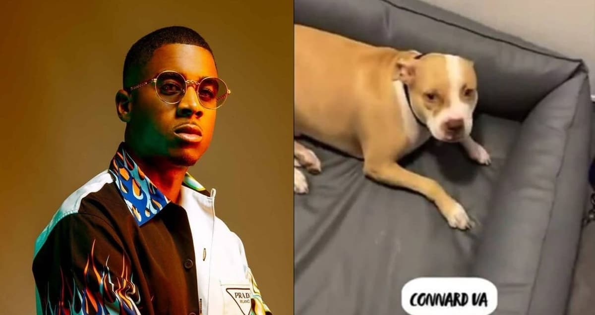 France: Le rappeur Timal arrêté pour avoir frappé son chien (vidéo)