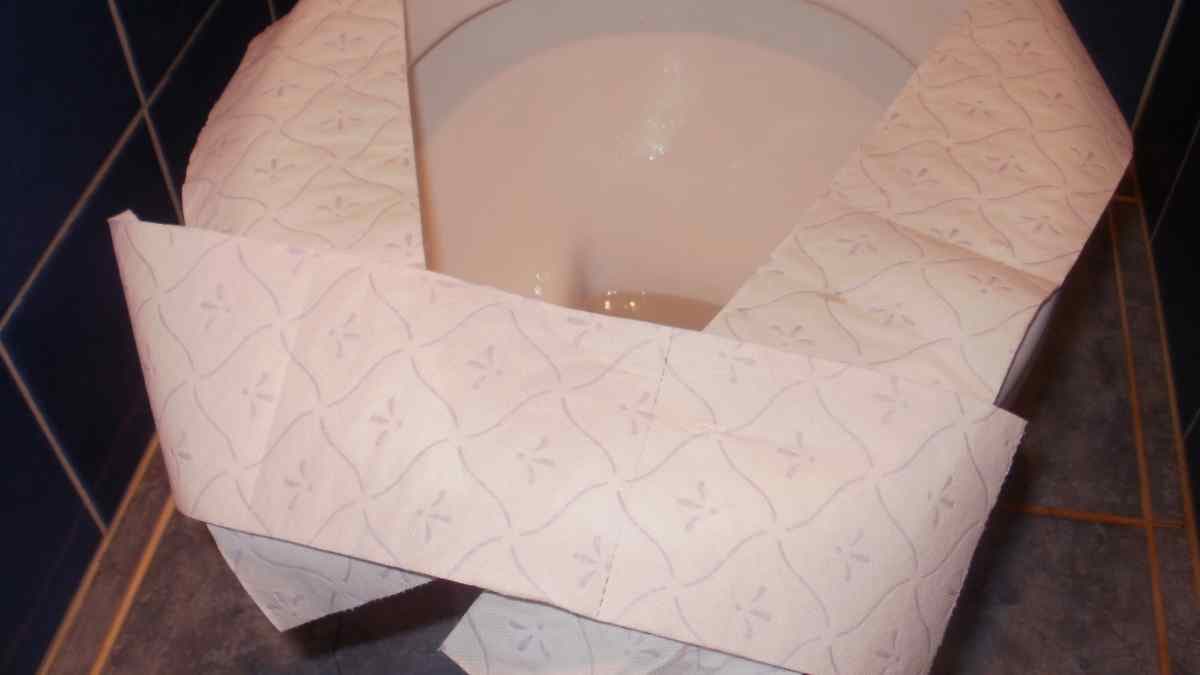 une cuvette de toilette protégée avec des papiers toilettes