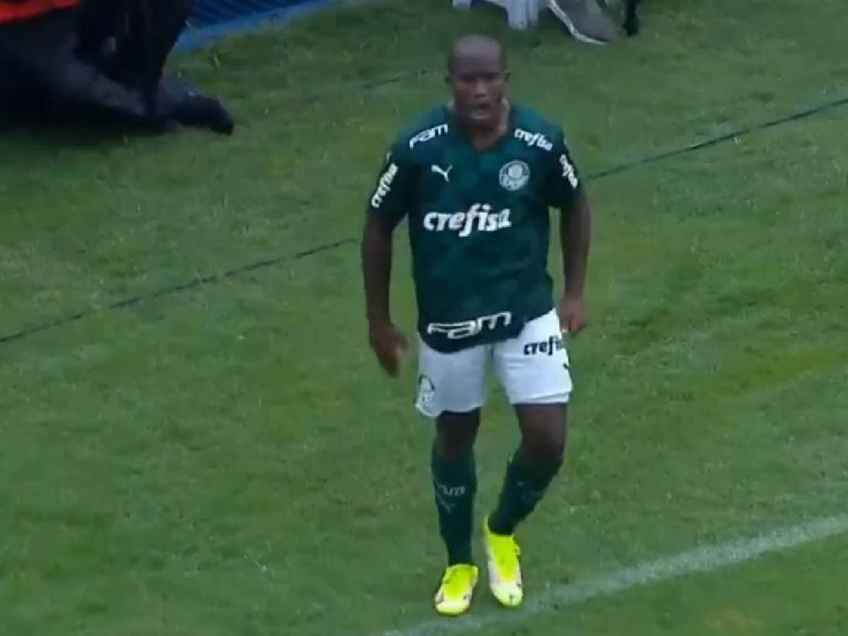 Endrick sous les couleurs de Palmeiras
