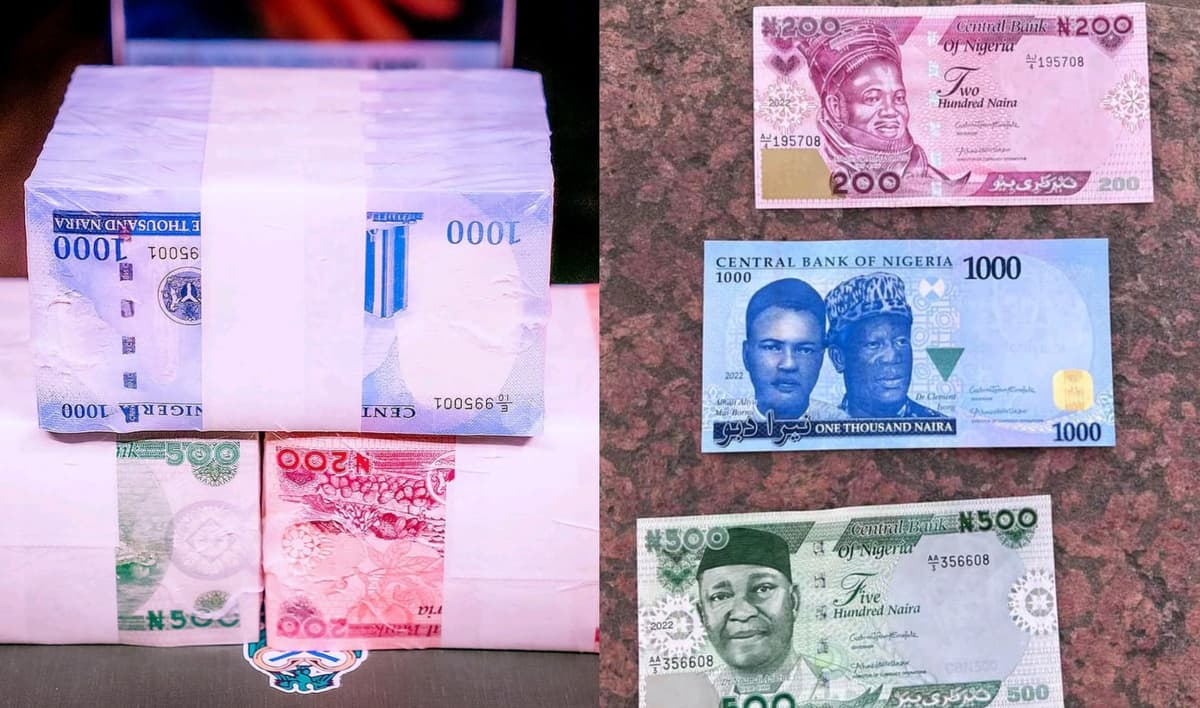 Les nouveaux billets de Naira au Nigeria