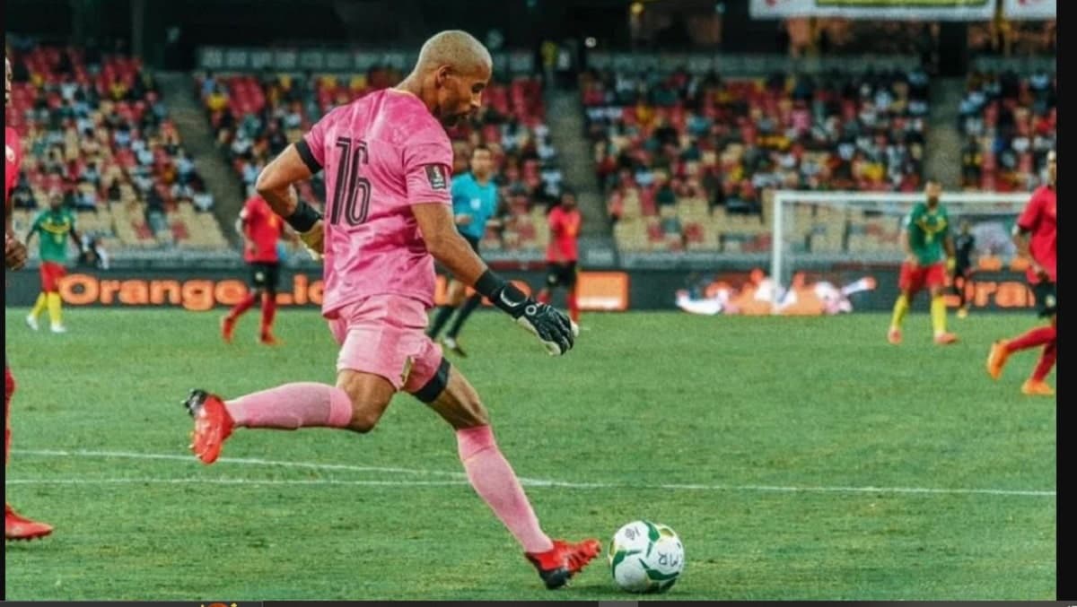 Devis Epassy lors d'un match avec le Cameroun