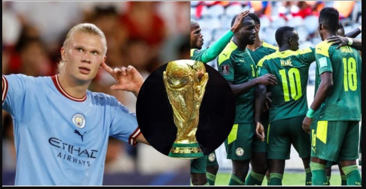Mondial 2022: « Ils ont de très bons joueurs », Haaland mise tout sur le Sénégal (vidéo)