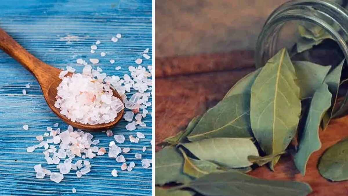 du gros sel et des feuilles de laurier