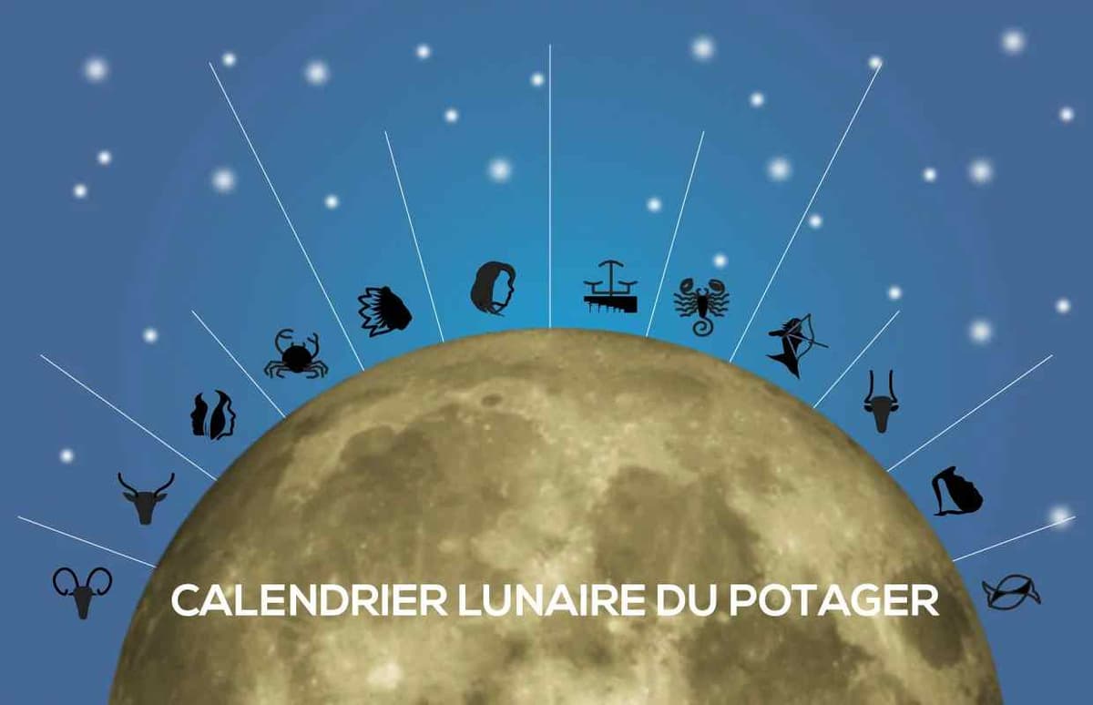 une pleine lune avec les signes du zodiaque