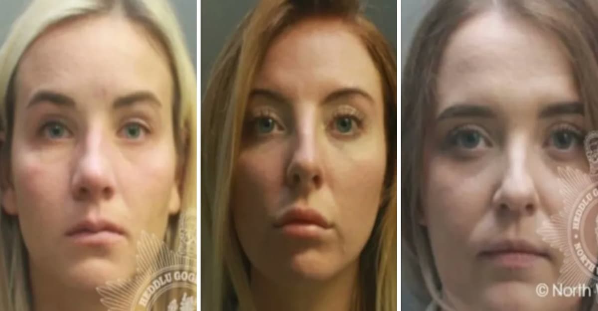 Gardiennes licenciées Pays de Galles