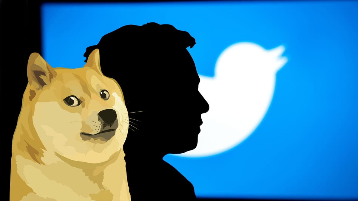 Elon Musk a fait exploser le cours de la fameuse cryptomonnaie en mettant une image de chien Ã  la place du célèbre logo Ã  l’oiseau bleu, alors que le milliardaire est visé en justice par des investisseurs.