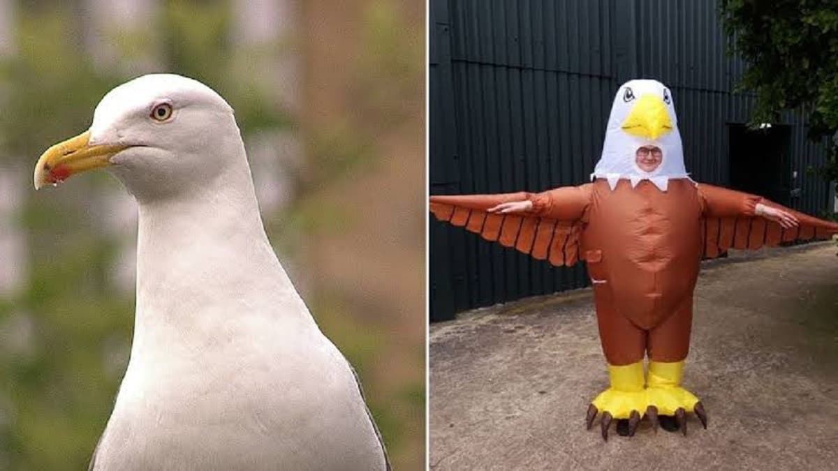 Une personne déguisée en oiseau