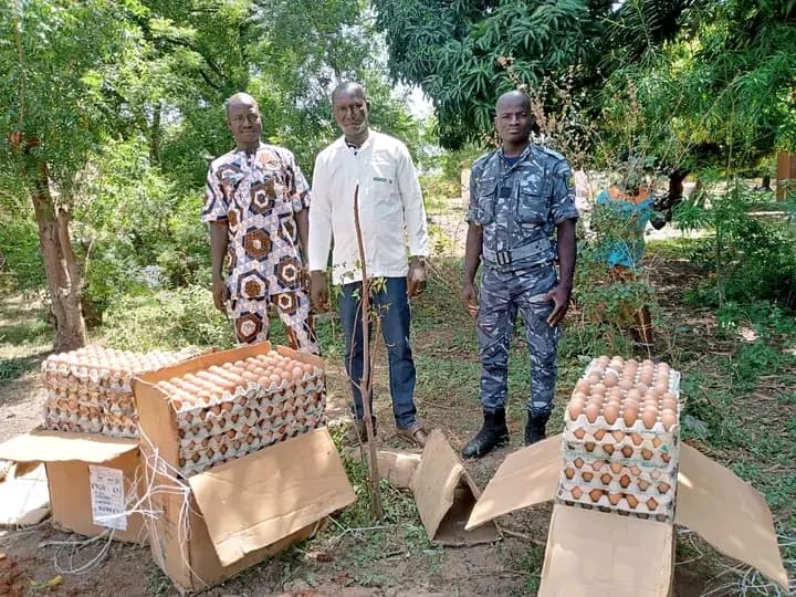 Destruction de 2700 œufs importés du Nigeria au Bénin, mesures sanitaires en action.