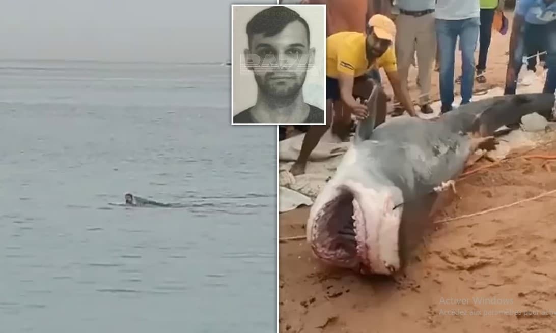 Des touristes regardent un Russe se faire dévorer par un requin sur une plage d'Égypte