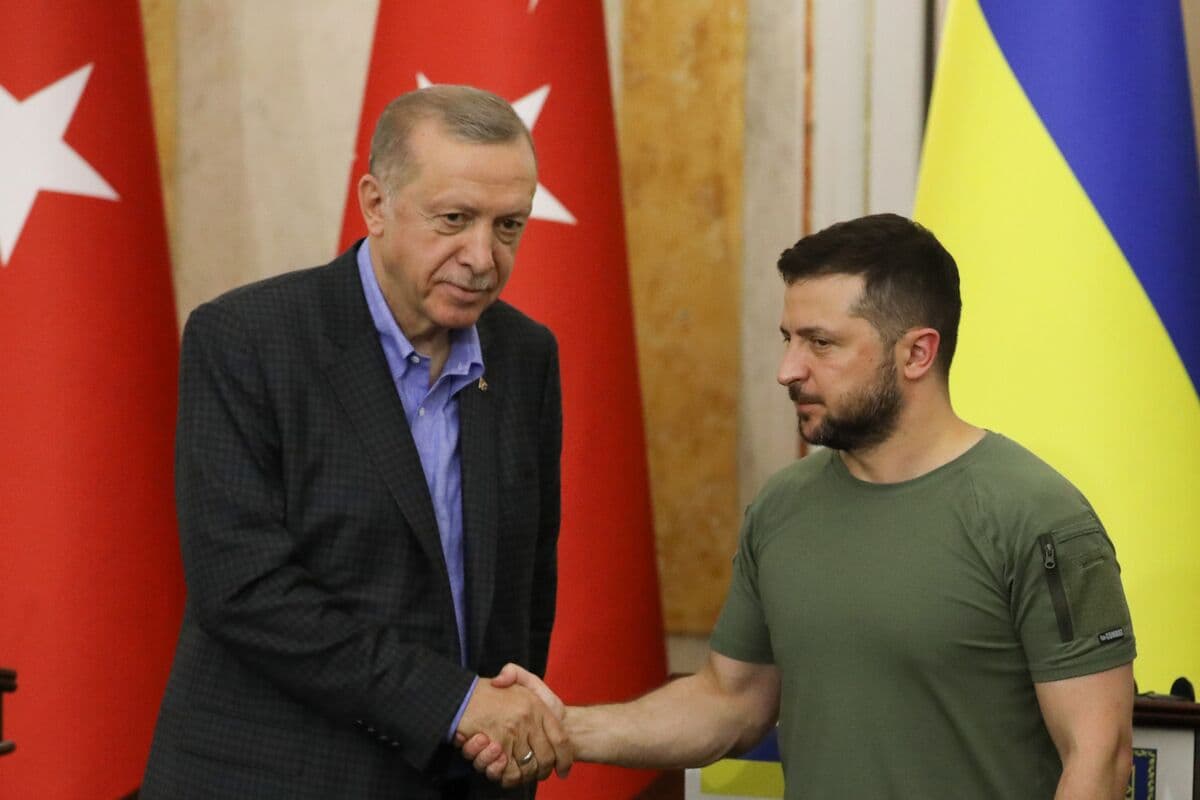 Le président turc, Recep Tayyip Erdogan et le président ukrainien Volodymyr Zelensky