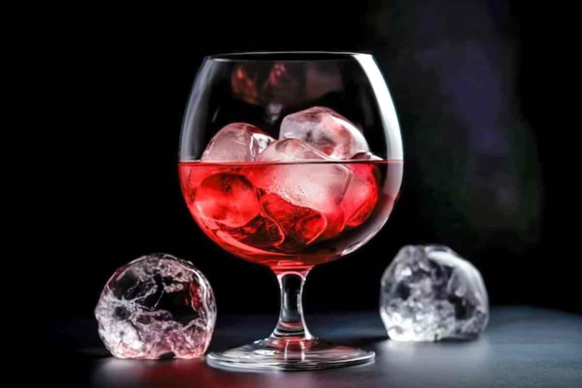 Bon à  savoirÂ : les raisonsÂ  pourÂ  lesquelles il faut éviter de mettre de glace dans le vin