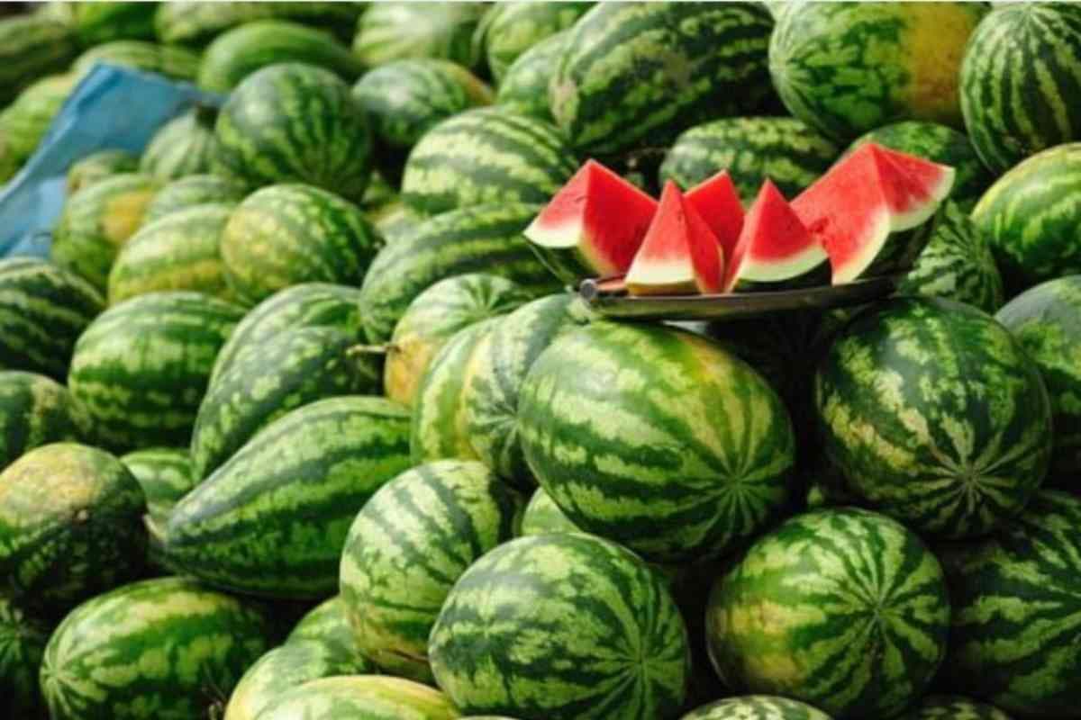 des pastèques non épluchées et d'autres découpées