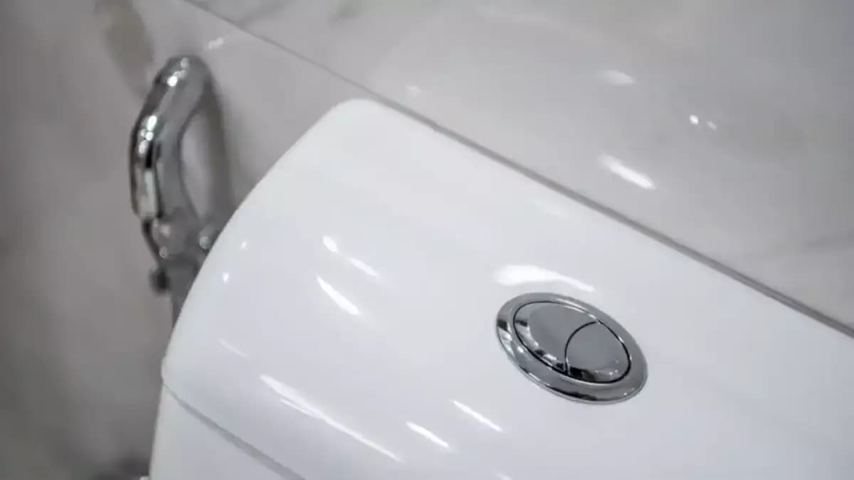 Bon à  savoir: découvrez la fonction du petit bouton de la chasse d’eau