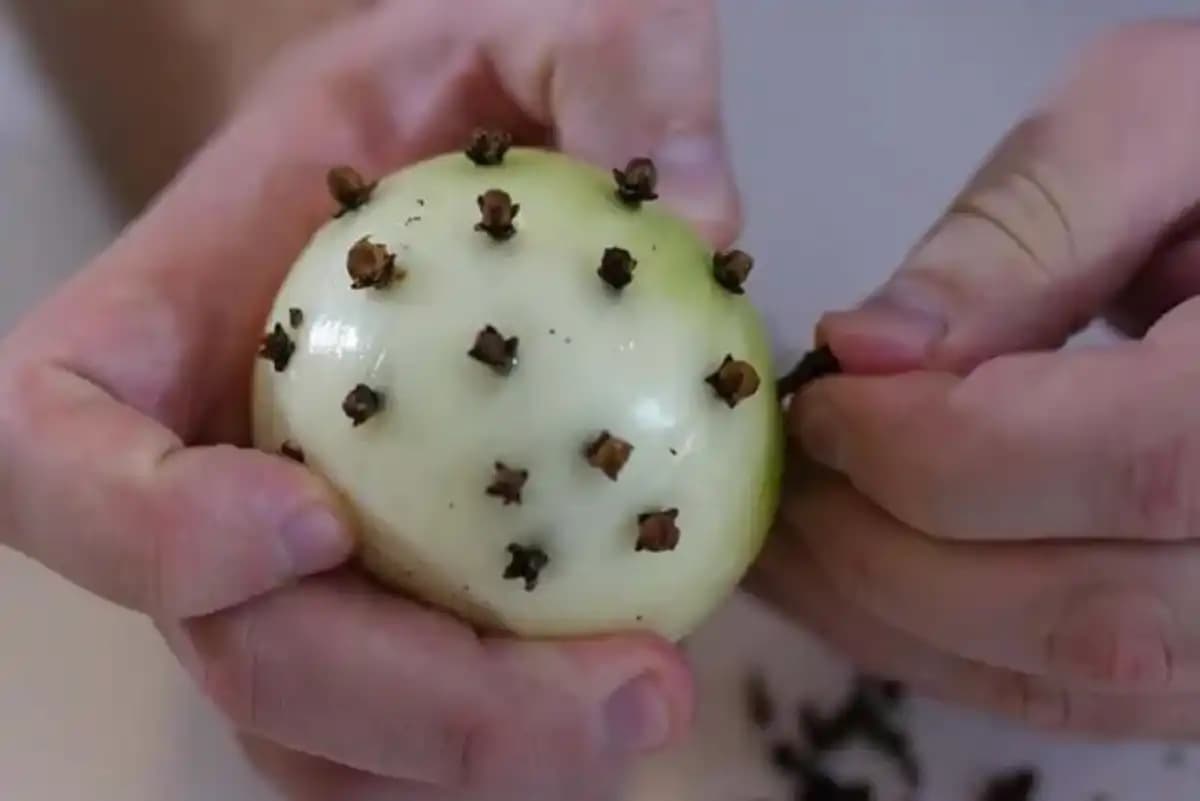 Cuisine: mettez des clous de girofle dans l’oignon pour une saveur unique
