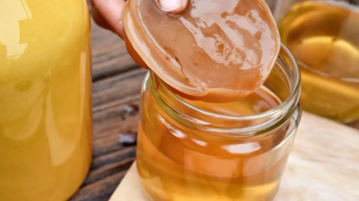 Le Kombucha: que faut-il savoir de cette pétillante et rafraîchissante boisson?
