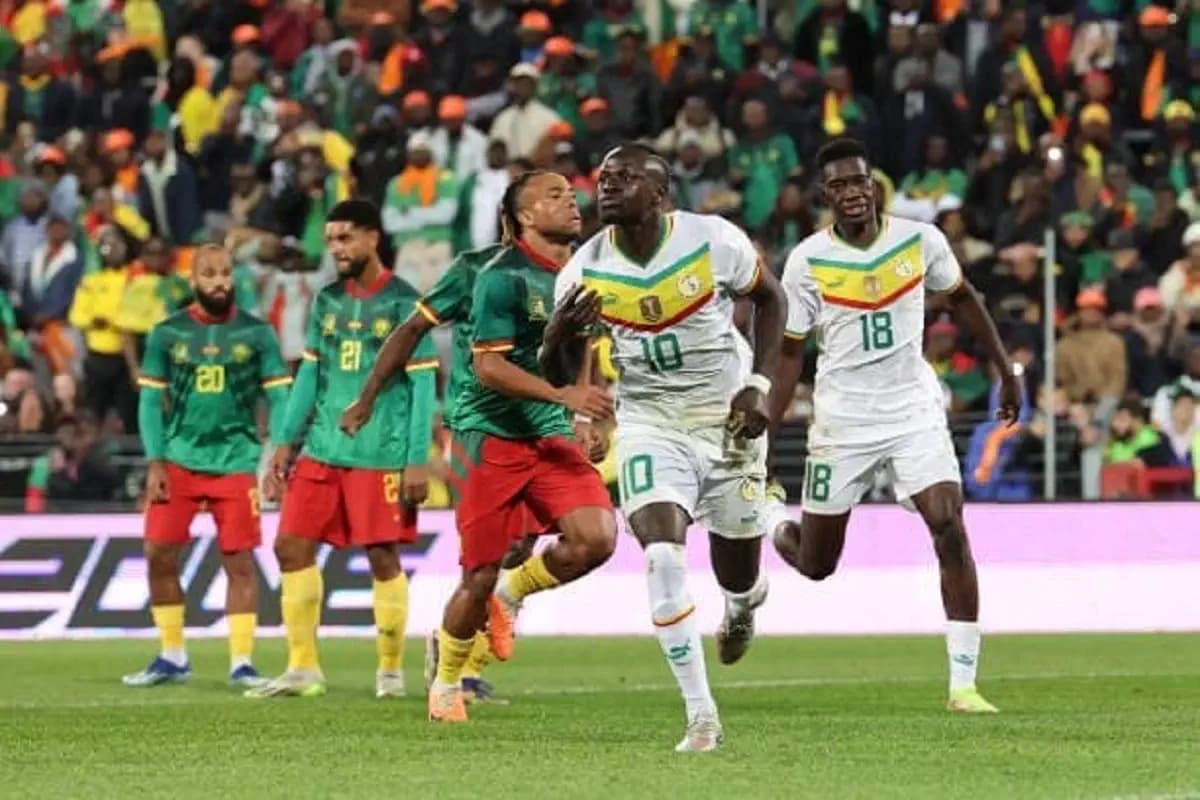 Des joueurs du Sénégal et du Cameroun