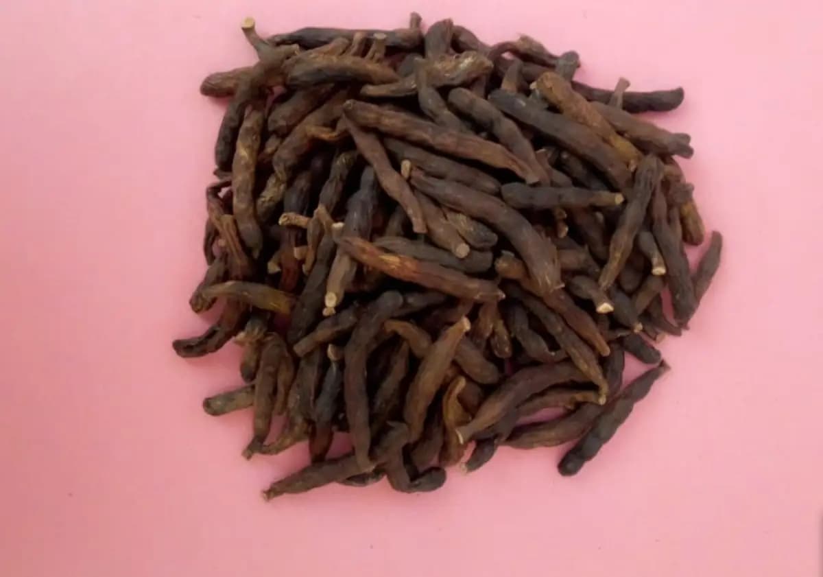 Grains de poivre de Guinée sur fond naturel, utilisés pour soulager les maux de dents.