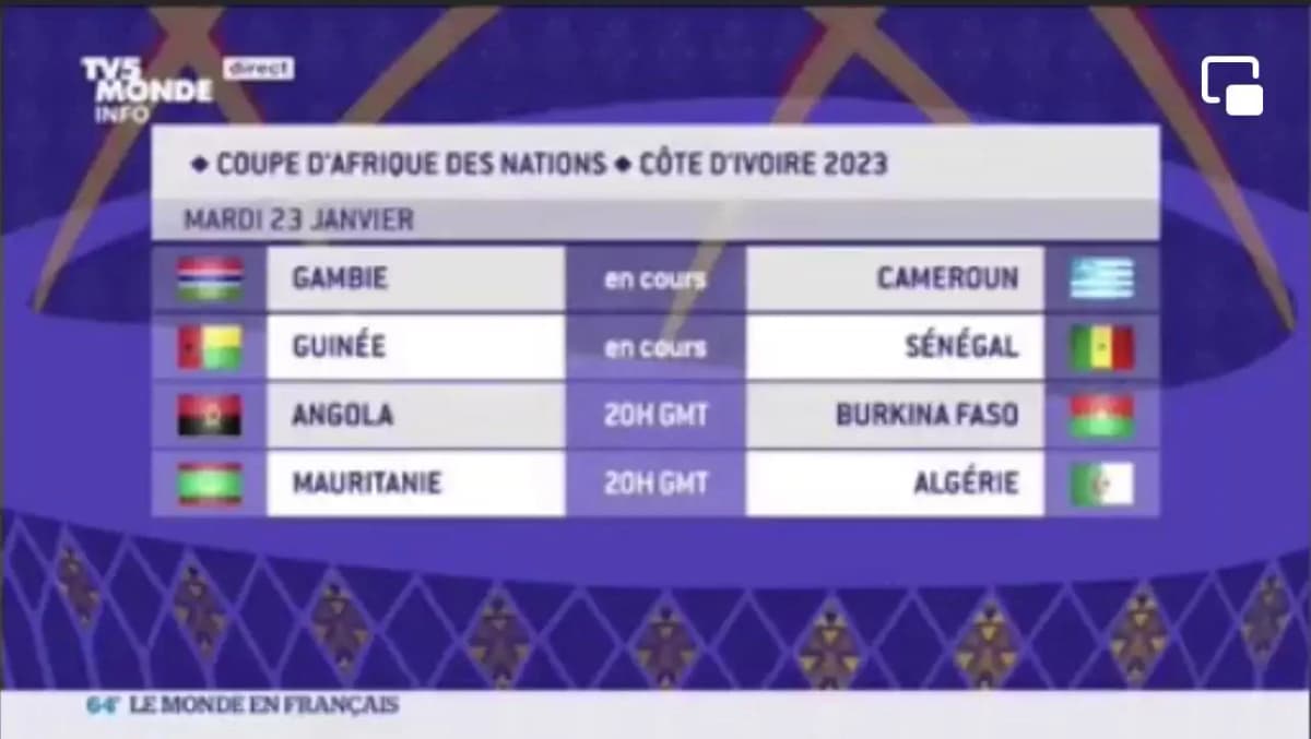 Drapeau de l'Ambazonie affiché à la place du drapeau camerounais lors de la CAN 2023 sur TV5 Monde.
