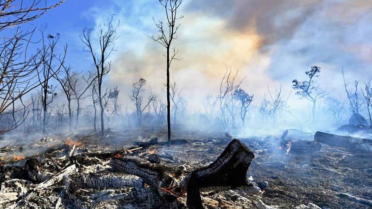 Incendies au Brésil: le parc national de Brasilia dévasté par les flammes