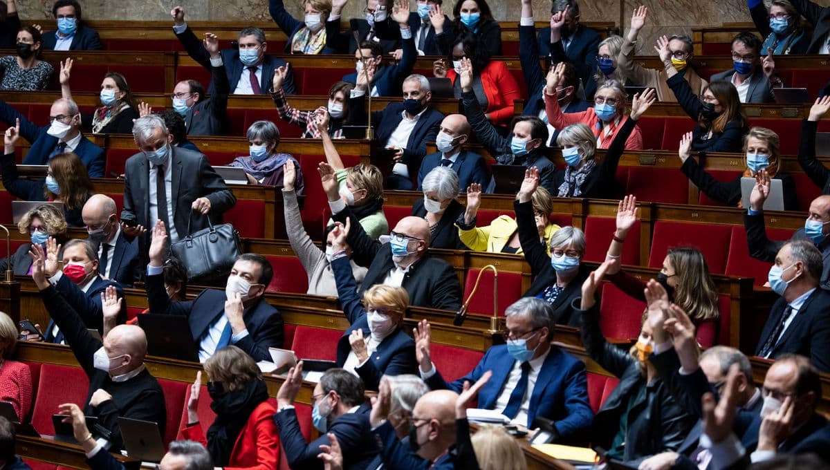 Des députés Français