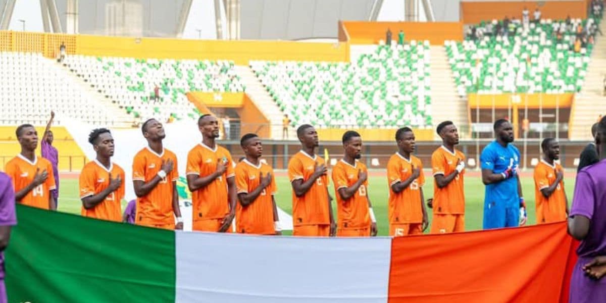 Les Éléphants locaux de Côte d'Ivoire