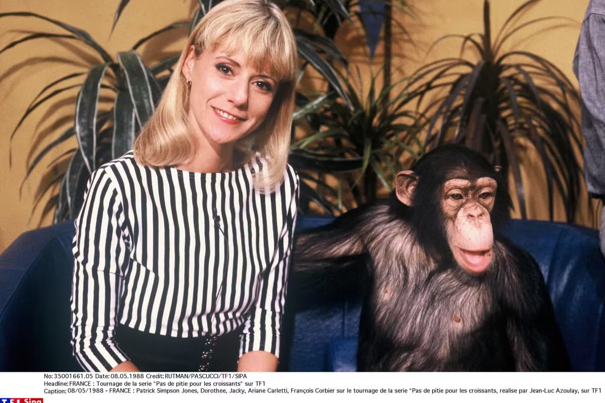 Anthony Ramos dans Rise of the Beasts, 7e épisode de la saga