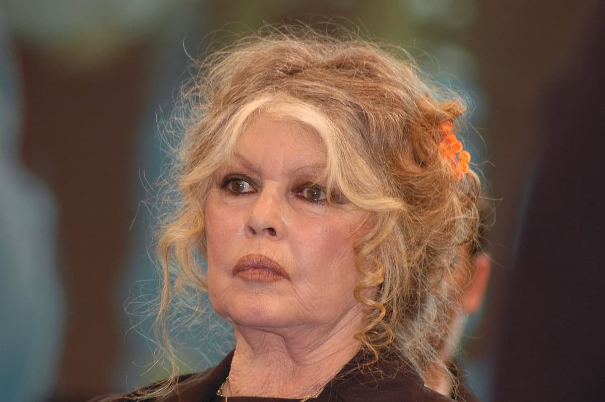 Mort de Brigitte Bardot : un cheval entre dans une église lors de l’hommage