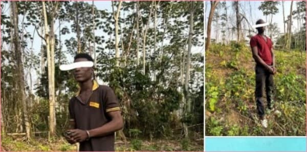 Côte d’Ivoire : Trois personnes arrêtées pour défrichement dans la forêt classée du Hein