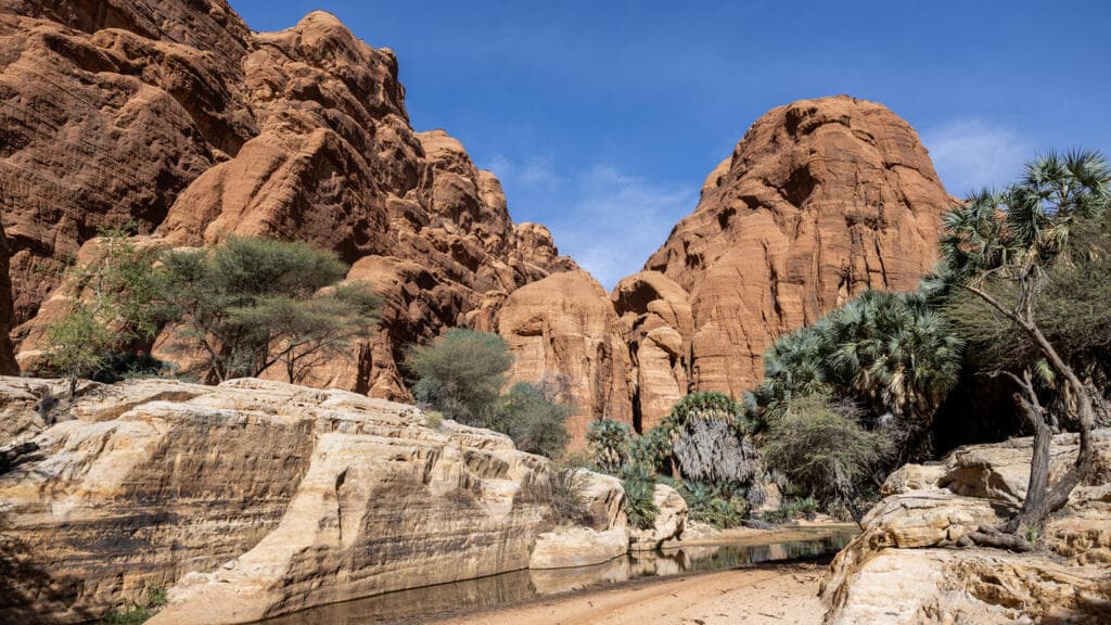 Tchad : un Français disparu dans la zone d’Amdjarass retrouvé mort dans l’oasis de Bachikélé