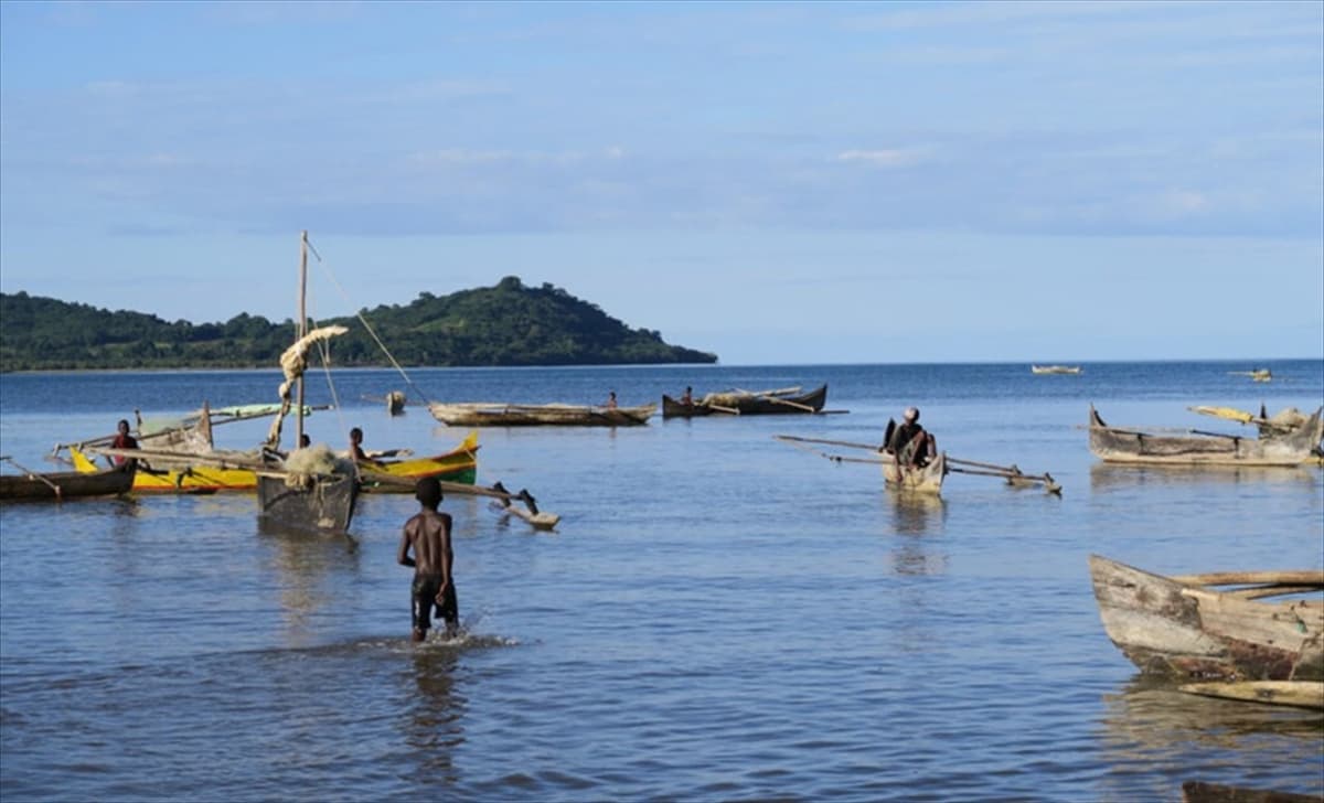 Cameroun : l’économie bleue représente 5,8% du PIB et valorise 22 600 milliards FCFA de services écosystémiques