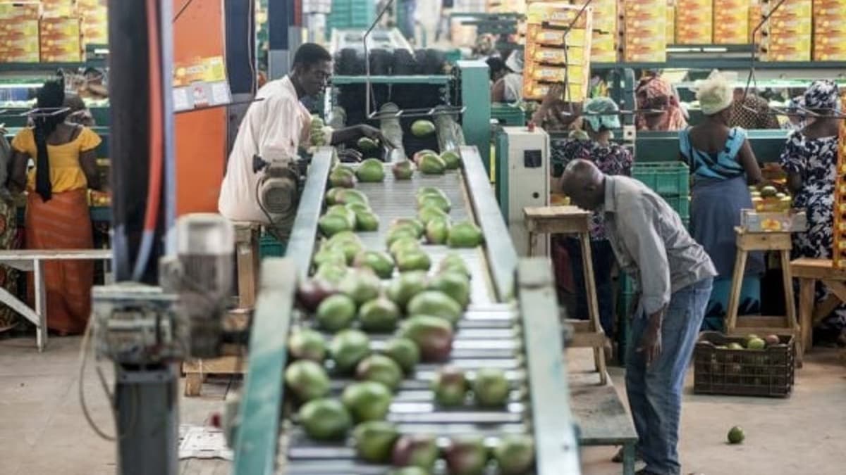 Sénégal : L’ITFC alloue 20 millions d’euros à la Banque Islamique du Sénégal pour le développement des PME