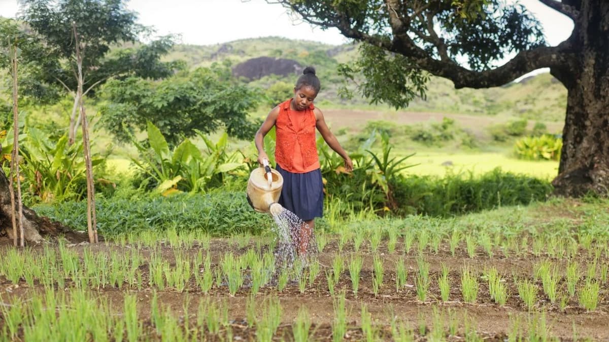Burkina Faso : création de la Société Faso-Agropôle pour structurer les pôles de production