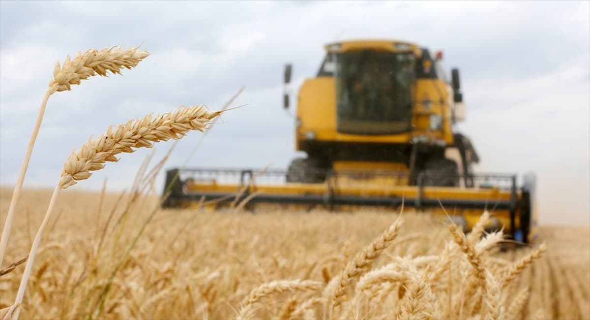 Les prix agricoles mondiaux devraient se stabiliser en 2026