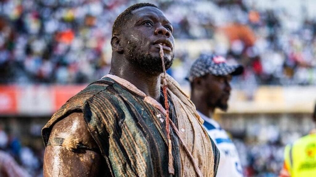 Sénégal : Franc bat Tapha Tine dans un combat éclair