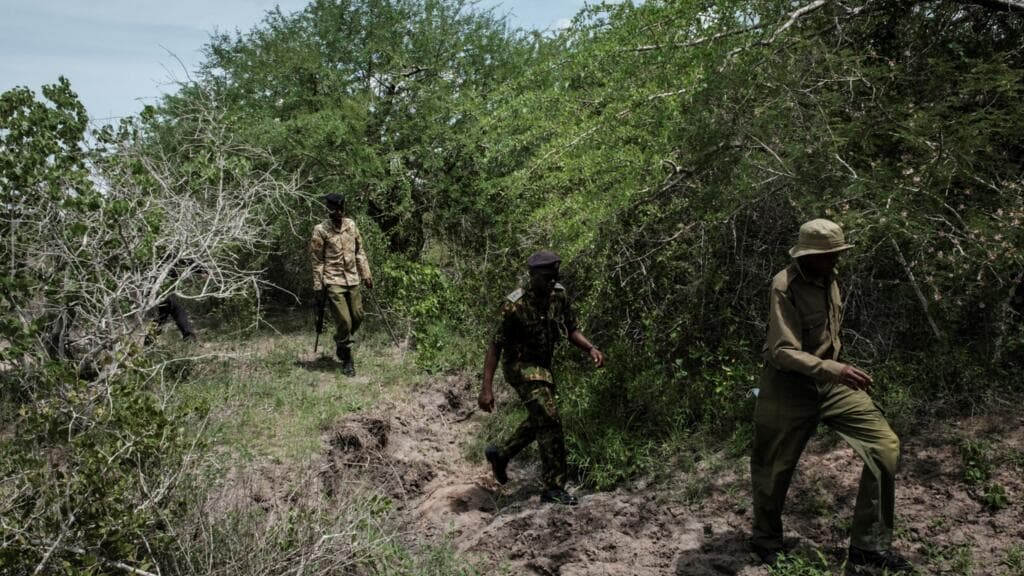 Kenya : enquête à Kericho après la découverte d’une mystérieuse fosse commune