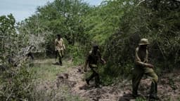 Kenya : enquête à Kericho après la découverte d’une mystérieuse fosse commune