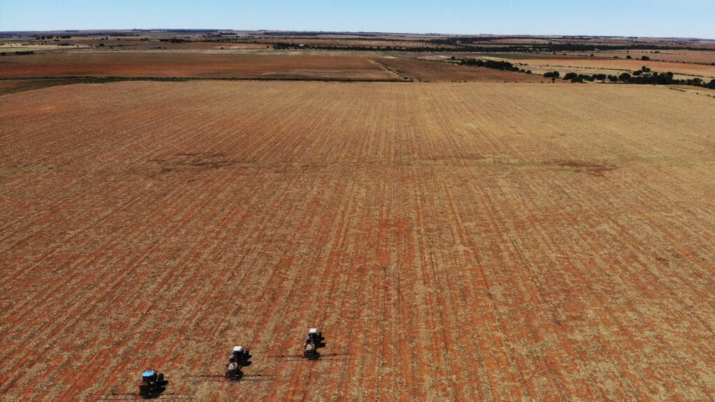 Guerre au Moyen-Orient : conséquences pour les importations d’engrais et d’aliments en Afrique