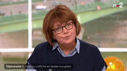 Nathalie Saint-Cricq suspendue de l’antenne