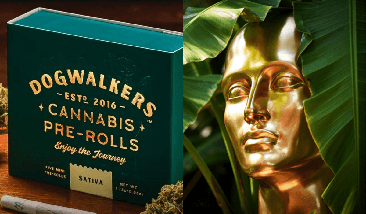 Oscars 2026 : 300 000 € de cadeaux pour les perdants, cannabis inclus