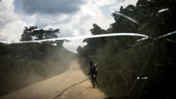 RDC : attaque des ADF à Mambasa dans la nuit du 5 au 6 avril, plusieurs civils pris en otage