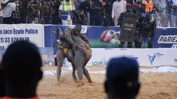 Sénégal : Sa Thiès devient roi des arènes après sa victoire sur Modou Lô